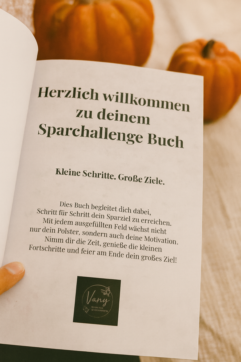 Sparchallenge Buch – Dein Weg zu mehr Struktur & Sparzielen – Bild 2